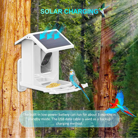 Smart Solar Bird Feeder Camera