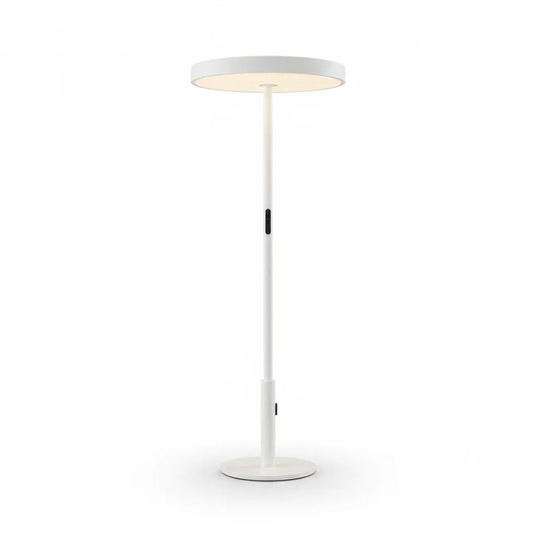 BODIO Series white free standing LED luminaire floor lamp