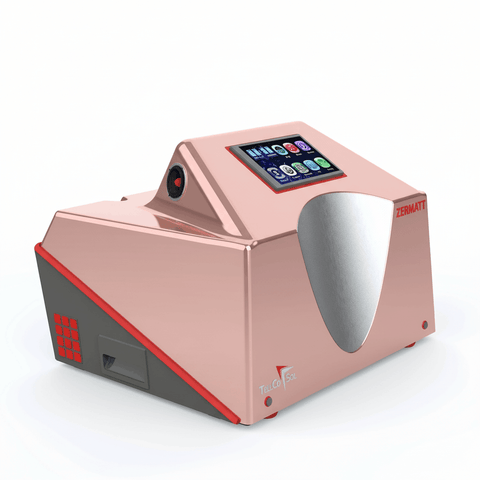 Zermatt Battery Storage Station