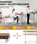 Costway Electric Height Adjustable Standing Desk, Sit to Stand Computer Workstation Home Office Desk